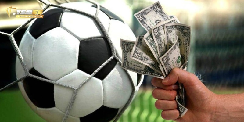 Cá độ đá banh là hình thức giải trí thú vị và hấp dẫn