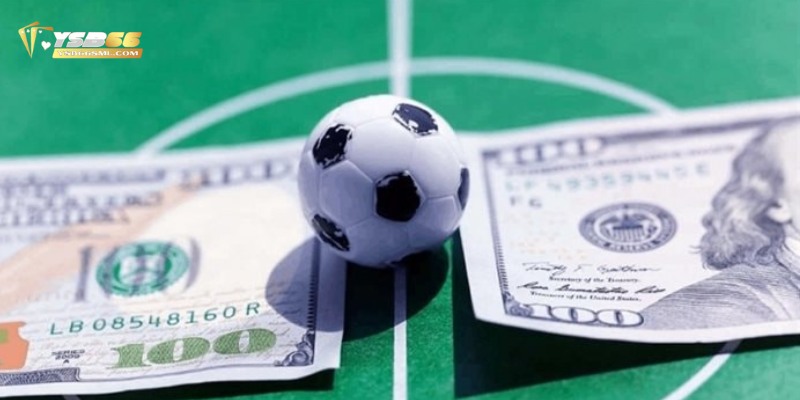 Nền tảng cá độ bóng đá trực tuyến uy tín Fi88