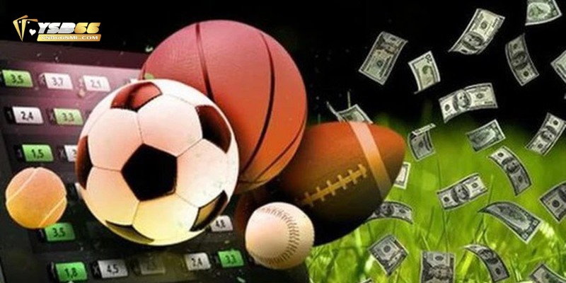 Trang cá độ đá bóng online cực hot tại Châu Á Bk8