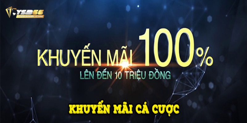 Hoàn trả cược là chương trình khuyến mãi phổ biến