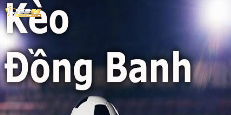 3 ưu điểm quan trọng của kèo cược đồng banh