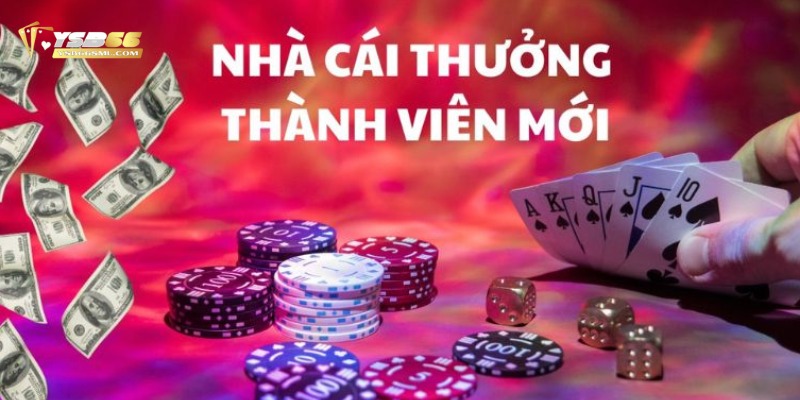 Quy định khi tham gia nhận khuyến mãi YSB66