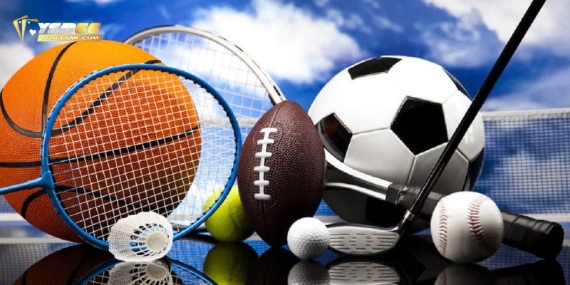 Thể thao là sảnh cược chủ đạo thu hút đông đảo người chơi