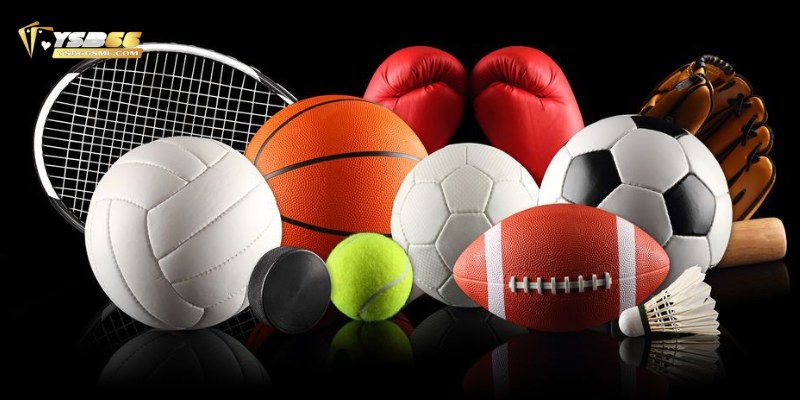 K-Sports mang đến trải nghiệm độc đáo và hấp dẫn