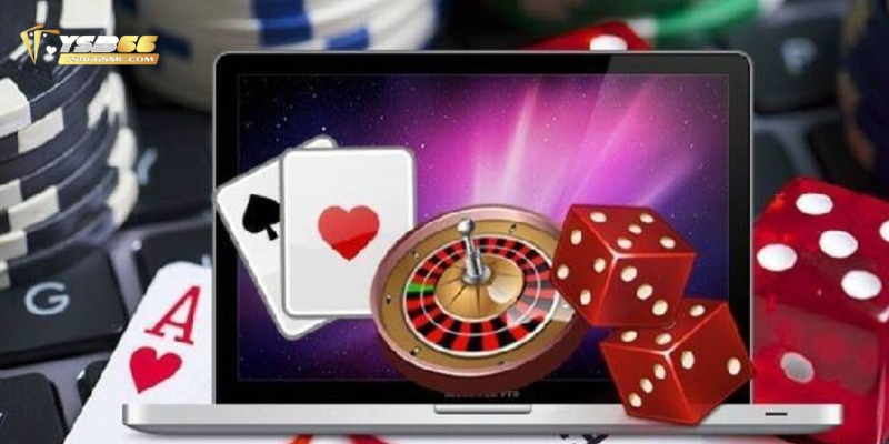 YSB66 luôn cam kết cung cấp một môi trường cá cược công bằng